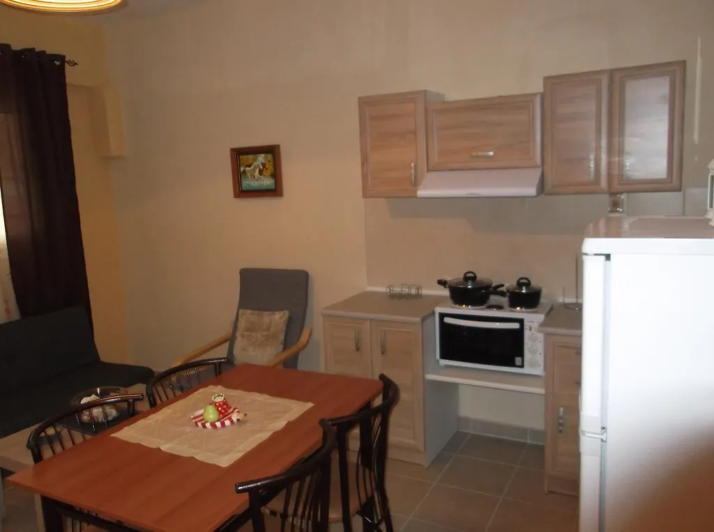 Hany'S Apartments 네아 모우다니아